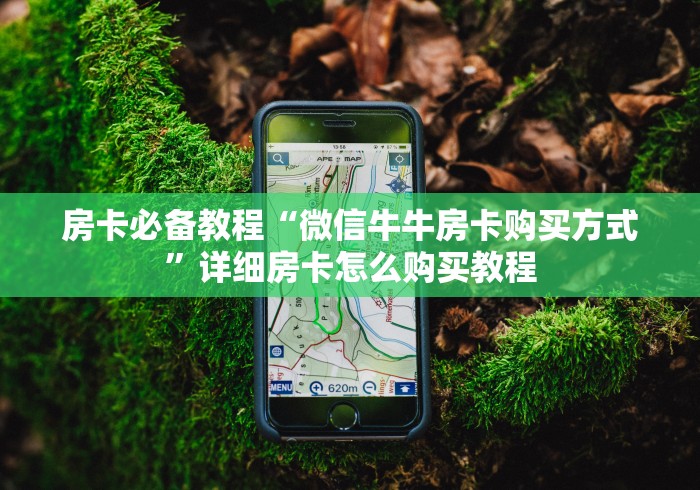 房卡必备教程“微信牛牛房卡购买方式”详细房卡怎么购买教程